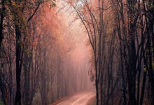 The Largest Sea in the World