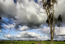 Gambling industry trends