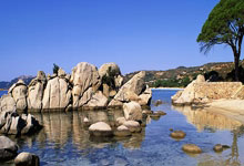 Future of gambling industry